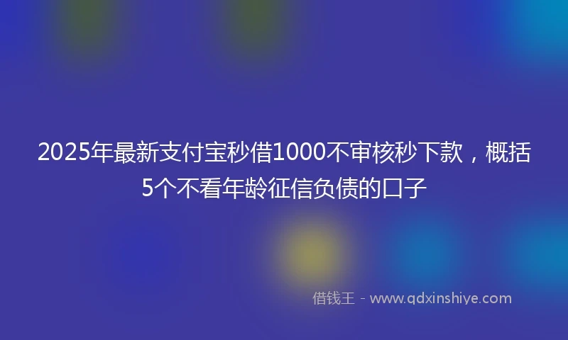 2025年最新支付宝秒借1000不审核秒下款，概括5个不看年龄征信负债的口子