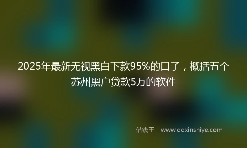 2025年最新无视黑白下款95%的口子，概括五个苏州黑户贷款5万的软件