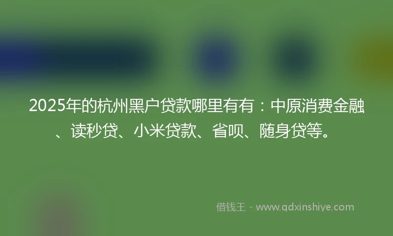 2025年的杭州黑户贷款哪里有有：中原消费金融、读秒贷、小米贷款、省呗、随身贷等。
