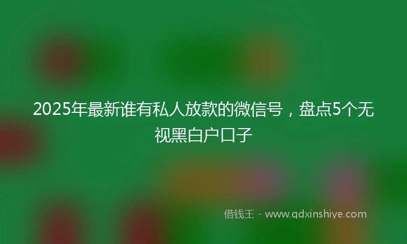 2025年最新谁有私人放款的微信号，盘点5个无视黑白户口子