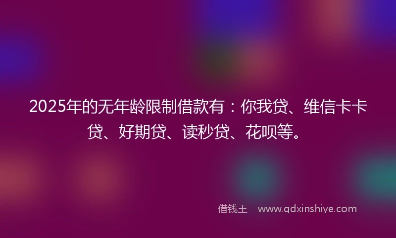 2025年的无年龄限制借款有：你我贷、维信卡卡贷、好期贷、读秒贷、花呗等。
