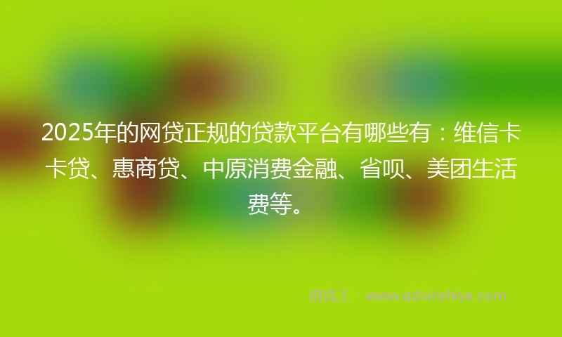 2025年的网贷正规的贷款平台有哪些有：维信卡卡贷、惠商贷、中原消费金融、省呗、美团生活费等。