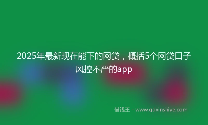 2025年最新现在能下的网贷，概括5个网贷口子风控不严的app