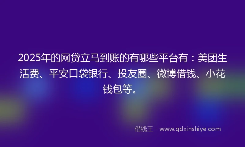 2025年的网贷立马到账的有哪些平台有：美团生活费、平安口袋银行、投友圈、微博借钱、小花钱包等。