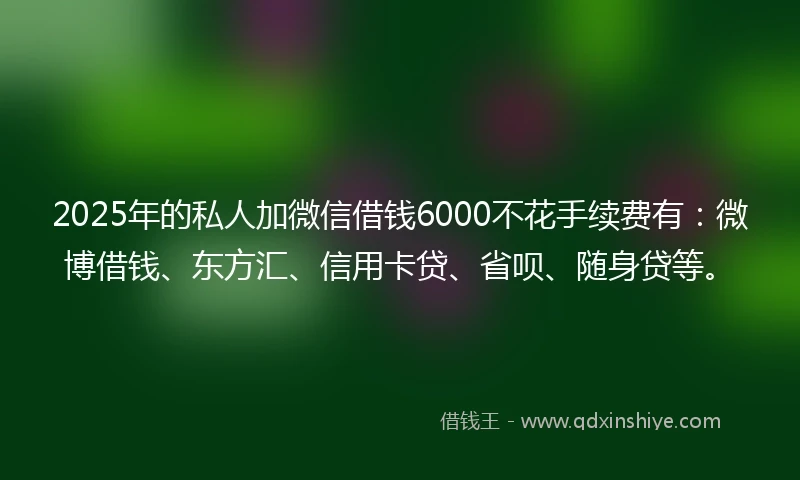 2025年的私人加微信借钱6000不花手续费有：微博借钱、东方汇、信用卡贷、省呗、随身贷等。
