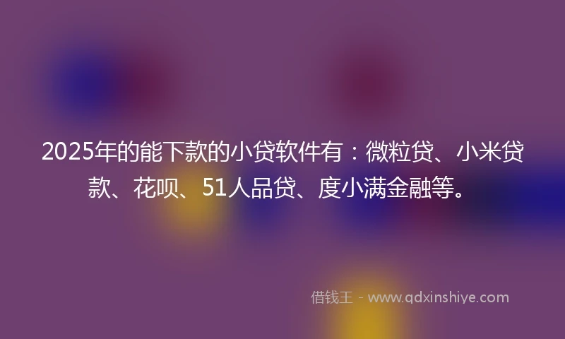 2025年的能下款的小贷软件有：微粒贷、小米贷款、花呗、51人品贷、度小满金融等。