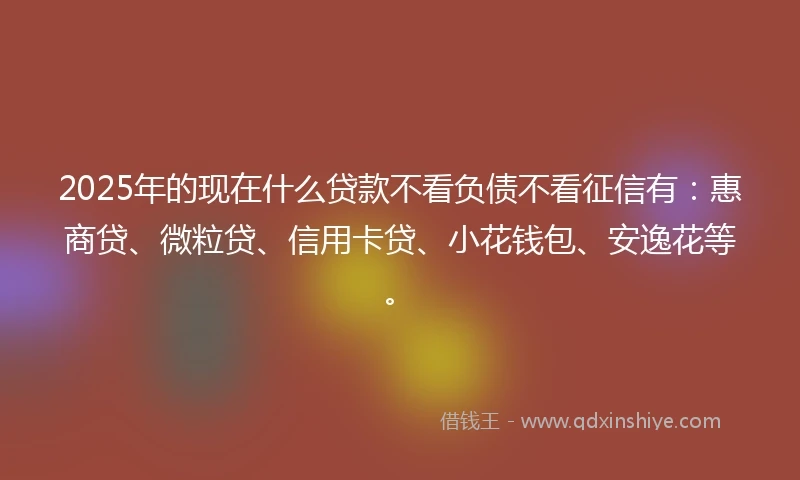 2025年的现在什么贷款不看负债不看征信有：惠商贷、微粒贷、信用卡贷、小花钱包、安逸花等。