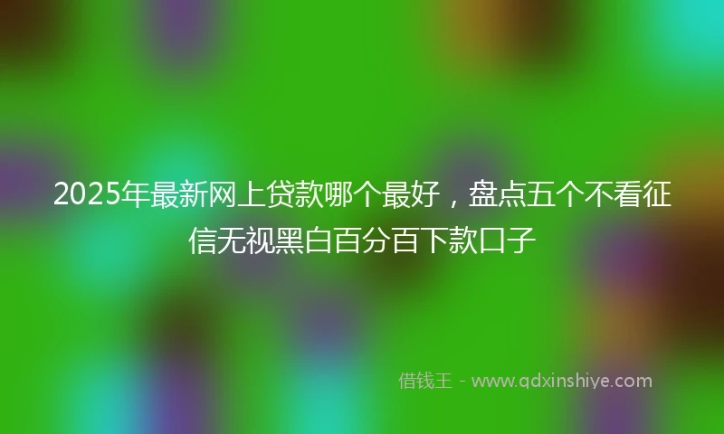 2025年最新网上贷款哪个最好，盘点五个不看征信无视黑白百分百下款口子