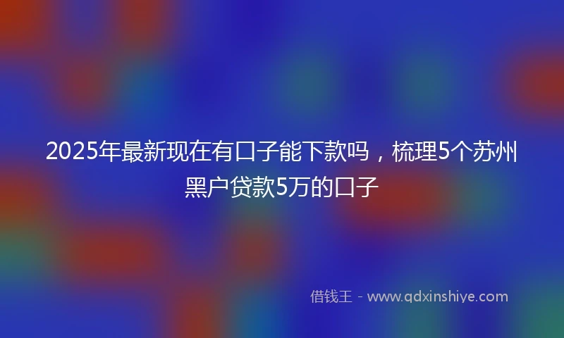 2025年最新现在有口子能下款吗，梳理5个苏州黑户贷款5万的口子