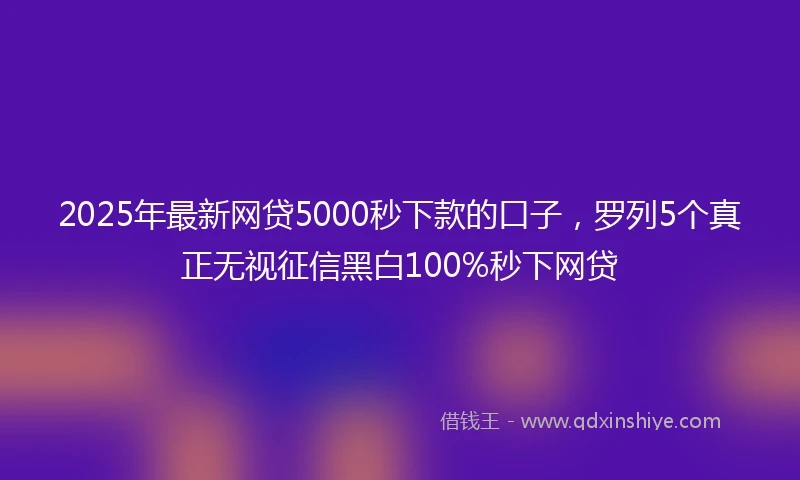 2025年最新网贷5000秒下款的口子，罗列5个真正无视征信黑白100%秒下网贷