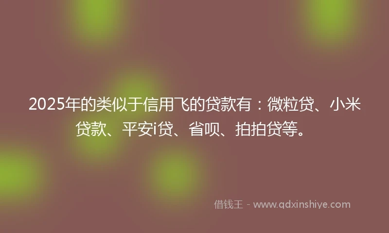 2025年的类似于信用飞的贷款有：微粒贷、小米贷款、平安i贷、省呗、拍拍贷等。