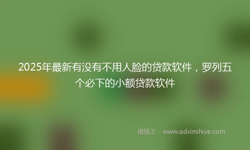 2025年最新有没有不用人脸的贷款软件，罗列五个必下的小额贷款软件