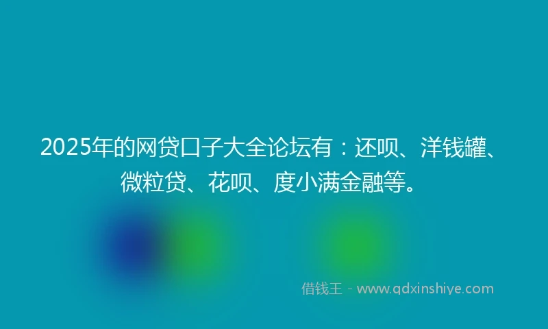 2025年的网贷口子大全论坛有：还呗、洋钱罐、微粒贷、花呗、度小满金融等。