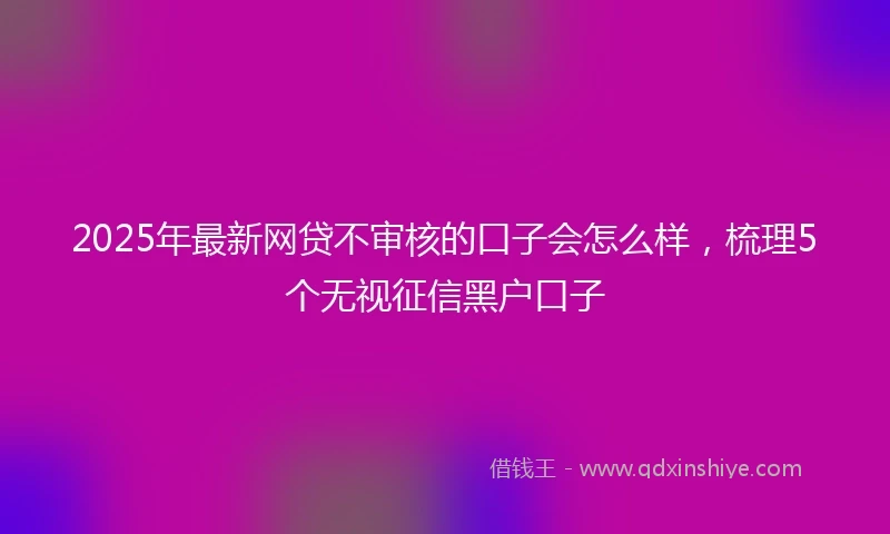 2025年最新网贷不审核的口子会怎么样，梳理5个无视征信黑户口子