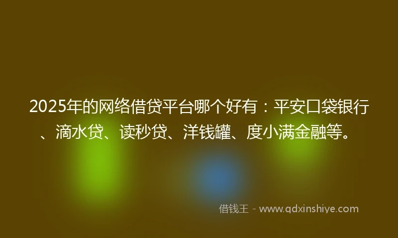 2025年的网络借贷平台哪个好有：平安口袋银行、滴水贷、读秒贷、洋钱罐、度小满金融等。