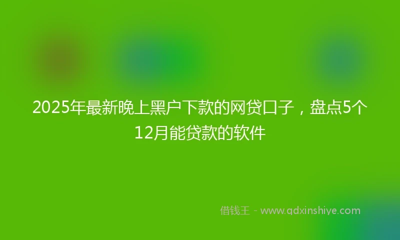 2025年最新晚上黑户下款的网贷口子，盘点5个12月能贷款的软件