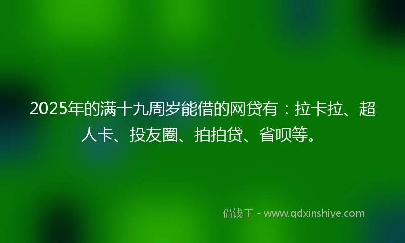 2025年的满十九周岁能借的网贷有：拉卡拉、超人卡、投友圈、拍拍贷、省呗等。