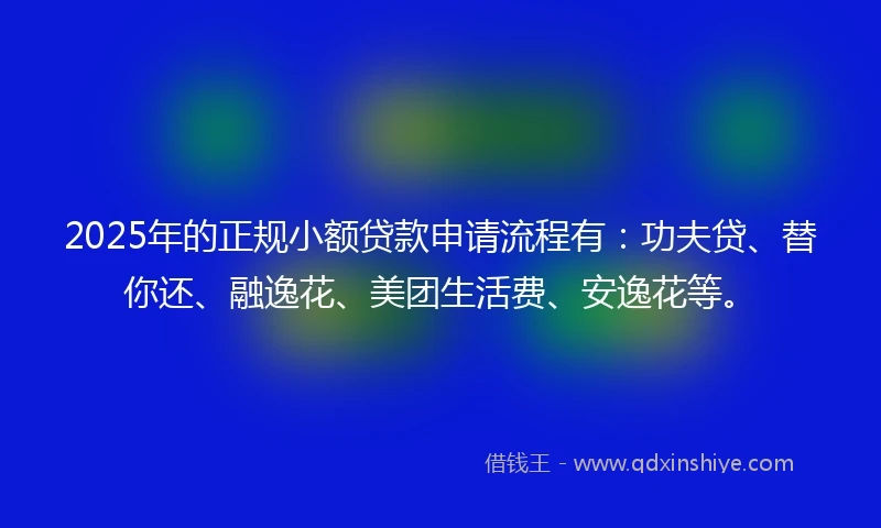 2025年的正规小额贷款申请流程有：功夫贷、替你还、融逸花、美团生活费、安逸花等。