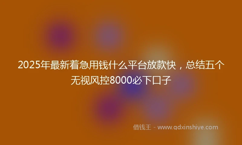2025年最新着急用钱什么平台放款快，总结五个无视风控8000必下口子