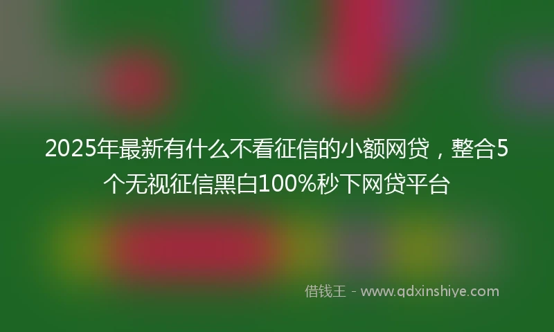 2025年最新有什么不看征信的小额网贷，整合5个无视征信黑白100%秒下网贷平台