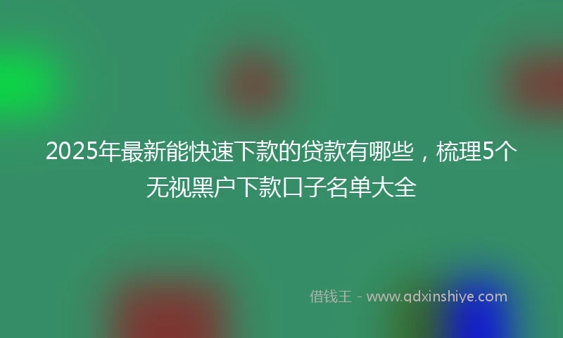 2025年最新能快速下款的贷款有哪些，梳理5个无视黑户下款口子名单大全