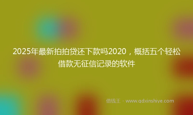 2025年最新拍拍贷还下款吗2020，概括五个轻松借款无征信记录的软件