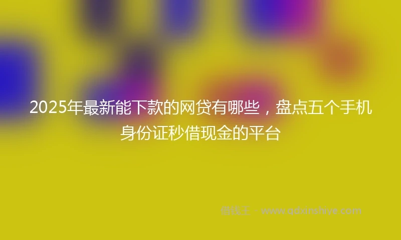 2025年最新能下款的网贷有哪些，盘点五个手机身份证秒借现金的平台