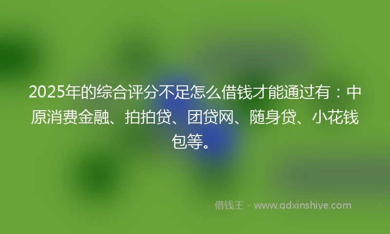 2025年的综合评分不足怎么借钱才能通过有：中原消费金融、拍拍贷、团贷网、随身贷、小花钱包等。