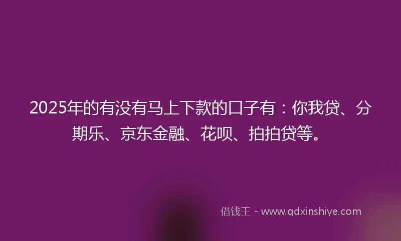 2025年的有没有马上下款的口子有：你我贷、分期乐、京东金融、花呗、拍拍贷等。