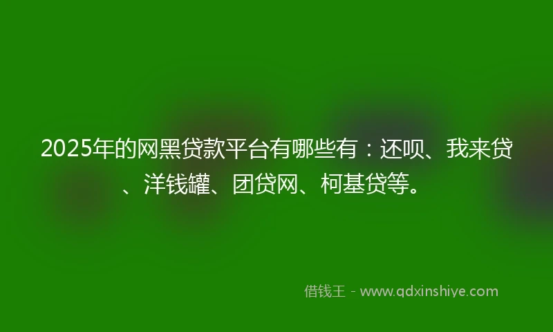 2025年的网黑贷款平台有哪些有:还呗、我来贷、洋钱罐、团贷网、柯基贷等。