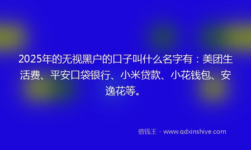2025年的无视黑户的口子叫什么名字有：美团生活费、平安口袋银行、小米贷款、小花钱包、安逸花等。