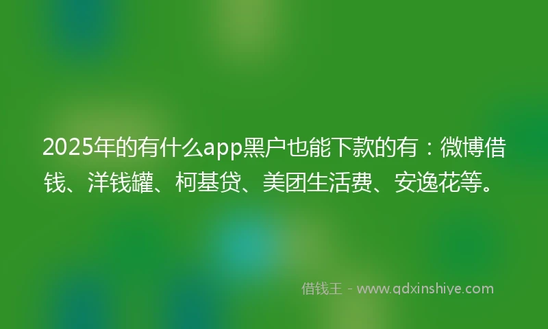 2025年的有什么app黑户也能下款的有:微博借钱、洋钱罐、柯基贷、美团生活费、安逸花等。