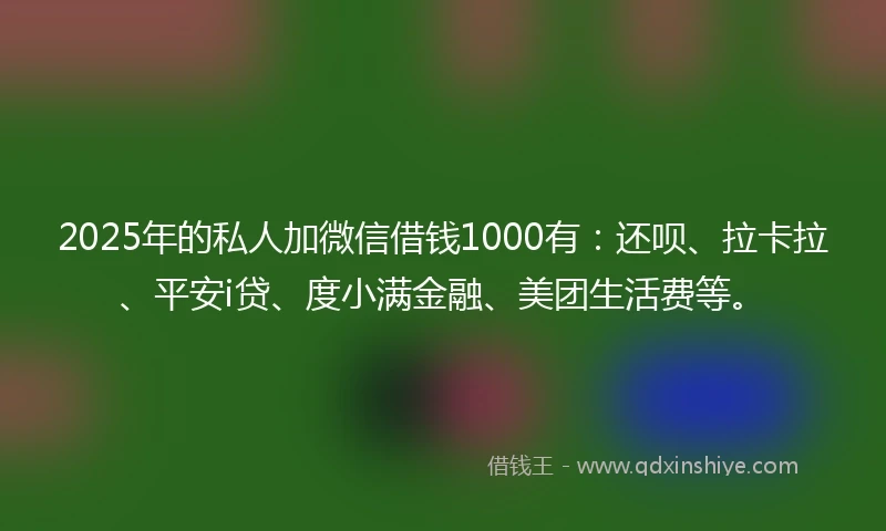 2025年的私人加微信借钱1000有：还呗、拉卡拉、平安i贷、度小满金融、美团生活费等。