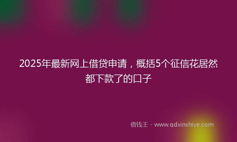 2025年最新网上借贷申请，概括5个征信花居然都下款了的口子