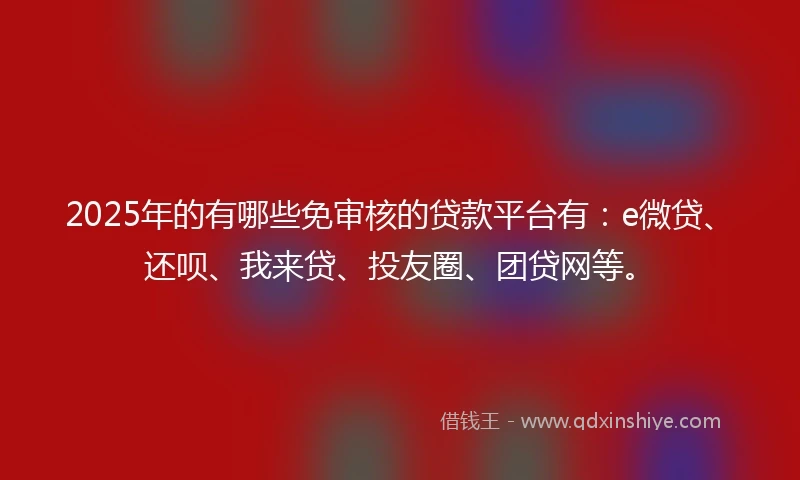 2025年的有哪些免审核的贷款平台有：e微贷、还呗、我来贷、投友圈、团贷网等。
