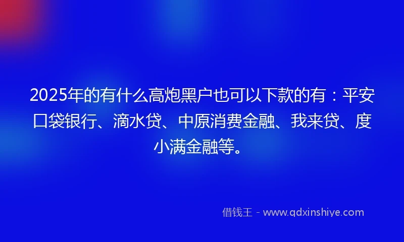 2025年的有什么高炮黑户也可以下款的有：平安口袋银行、滴水贷、中原消费金融、我来贷、度小满金融等。