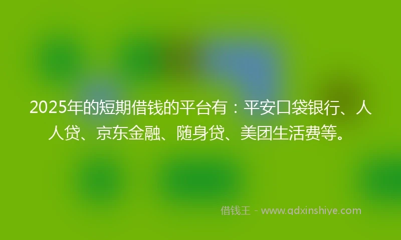 2025年的短期借钱的平台有：平安口袋银行、人人贷、京东金融、随身贷、美团生活费等。