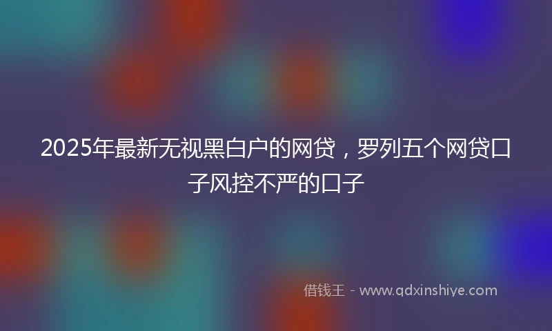 2025年最新无视黑白户的网贷，罗列五个网贷口子风控不严的口子