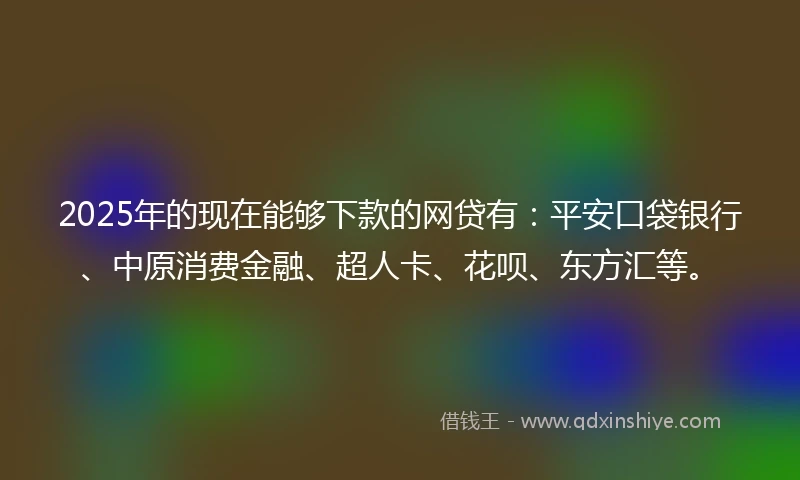 2025年的现在能够下款的网贷有：平安口袋银行、中原消费金融、超人卡、花呗、东方汇等。