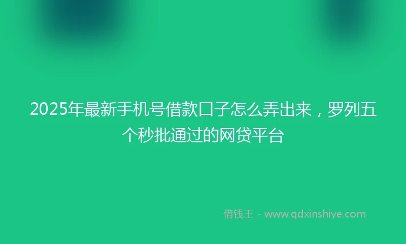 2025年最新手机号借款口子怎么弄出来，罗列五个秒批通过的网贷平台