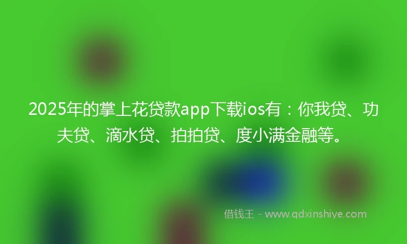 2025年的掌上花贷款app下载ios有：你我贷、功夫贷、滴水贷、拍拍贷、度小满金融等。