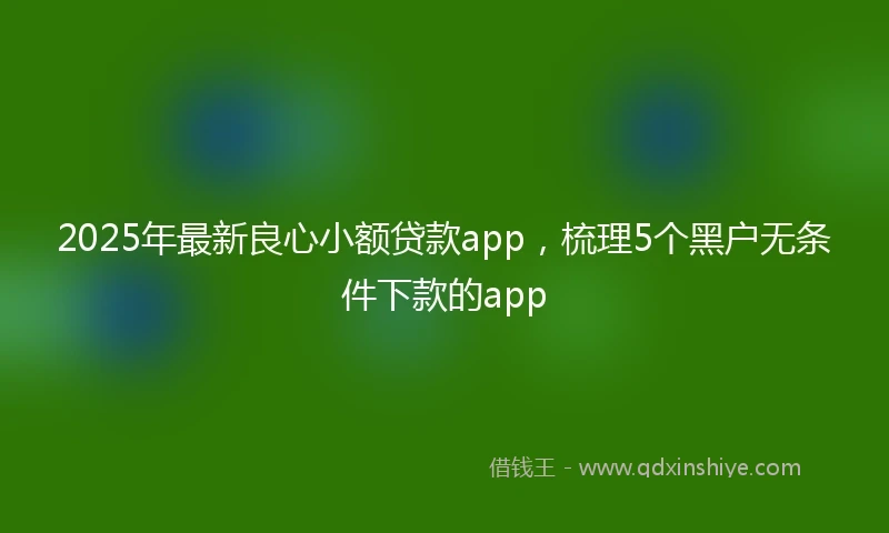 2025年最新良心小额贷款app，梳理5个黑户无条件下款的app