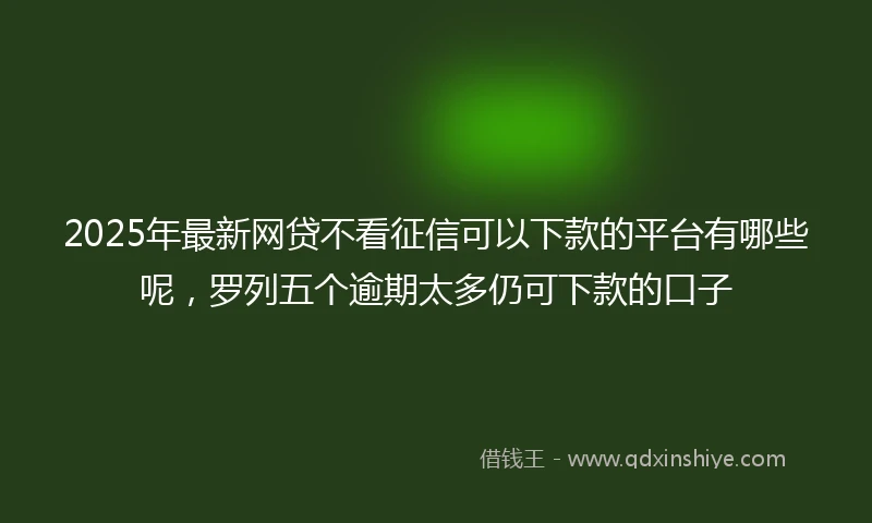 2025年最新网贷不看征信可以下款的平台有哪些呢，罗列五个逾期太多仍可下款的口子