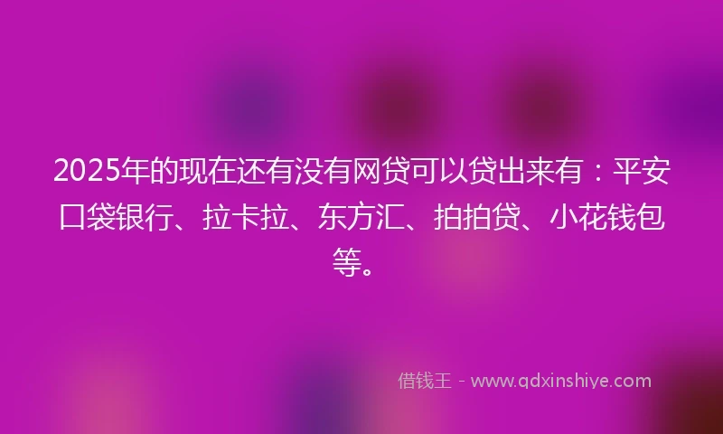 2025年的现在还有没有网贷可以贷出来有：平安口袋银行、拉卡拉、东方汇、拍拍贷、小花钱包等。