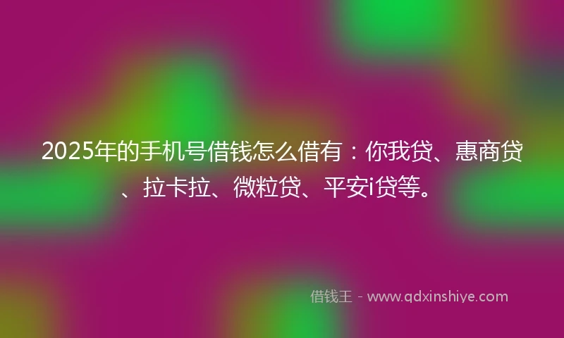 2025年的手机号借钱怎么借有：你我贷、惠商贷、拉卡拉、微粒贷、平安i贷等。