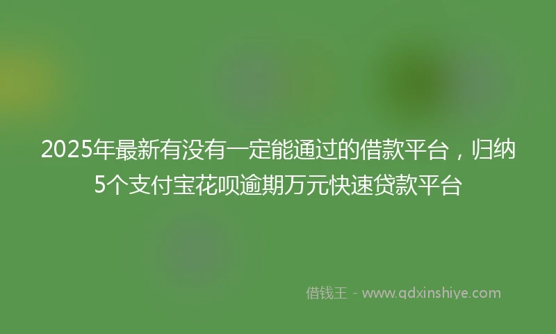 2025年最新有没有一定能通过的借款平台，归纳5个支付宝花呗逾期万元快速贷款平台