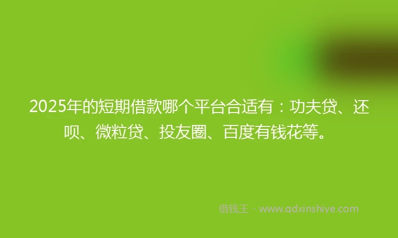 2025年的短期借款哪个平台合适有：功夫贷、还呗、微粒贷、投友圈、百度有钱花等。