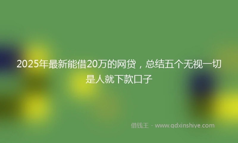 2025年最新能借20万的网贷，总结五个无视一切是人就下款口子