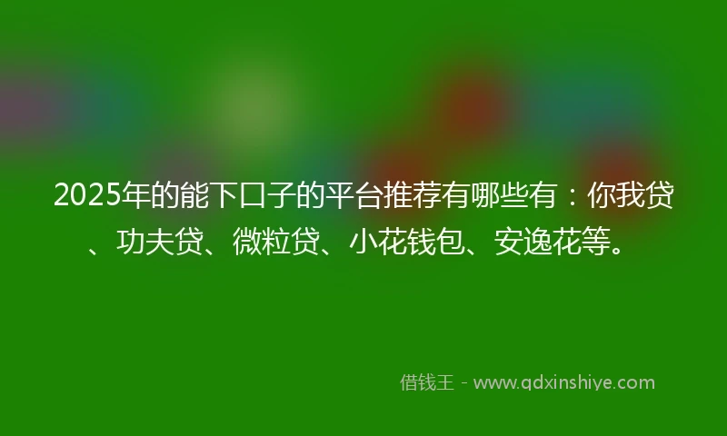 2025年的能下口子的平台推荐有哪些有：你我贷、功夫贷、微粒贷、小花钱包、安逸花等。