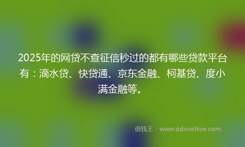 2025年的网贷不查征信秒过的都有哪些贷款平台有：滴水贷、快贷通、京东金融、柯基贷、度小满金融等。